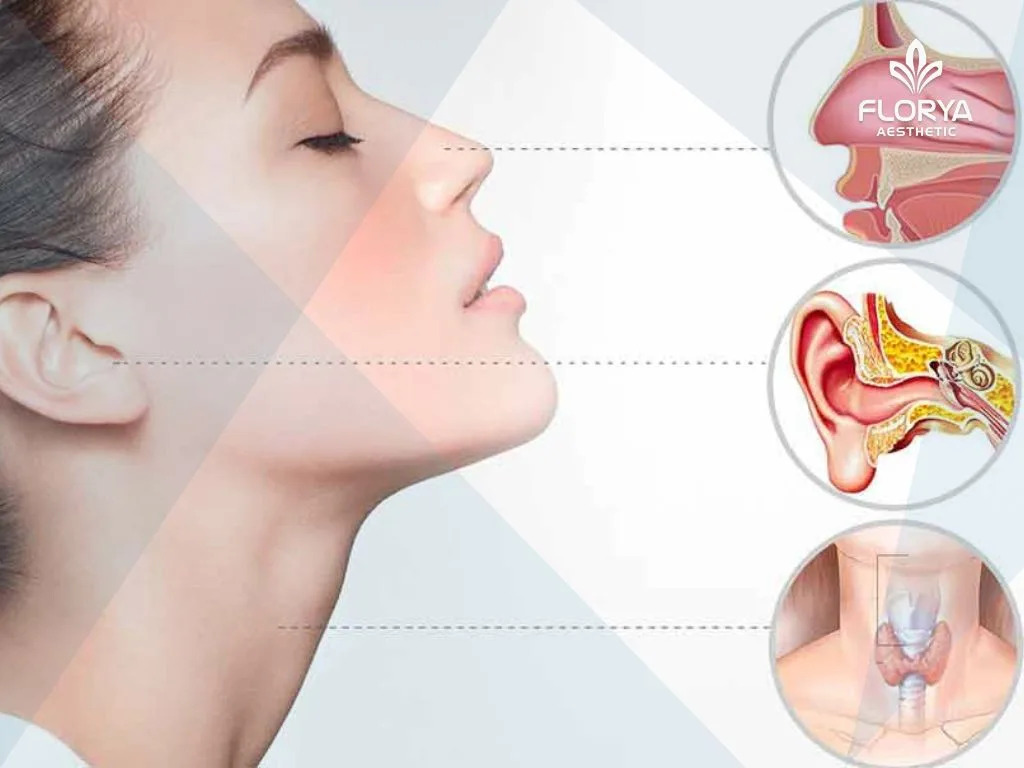 أمراض الأذن والأنف والحنجرة