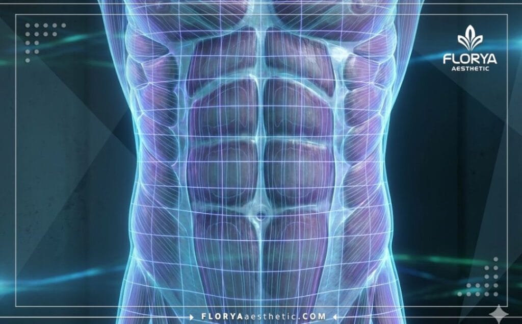 Escaneo digital 3D de los músculos abdominales para precisión Vaser.
