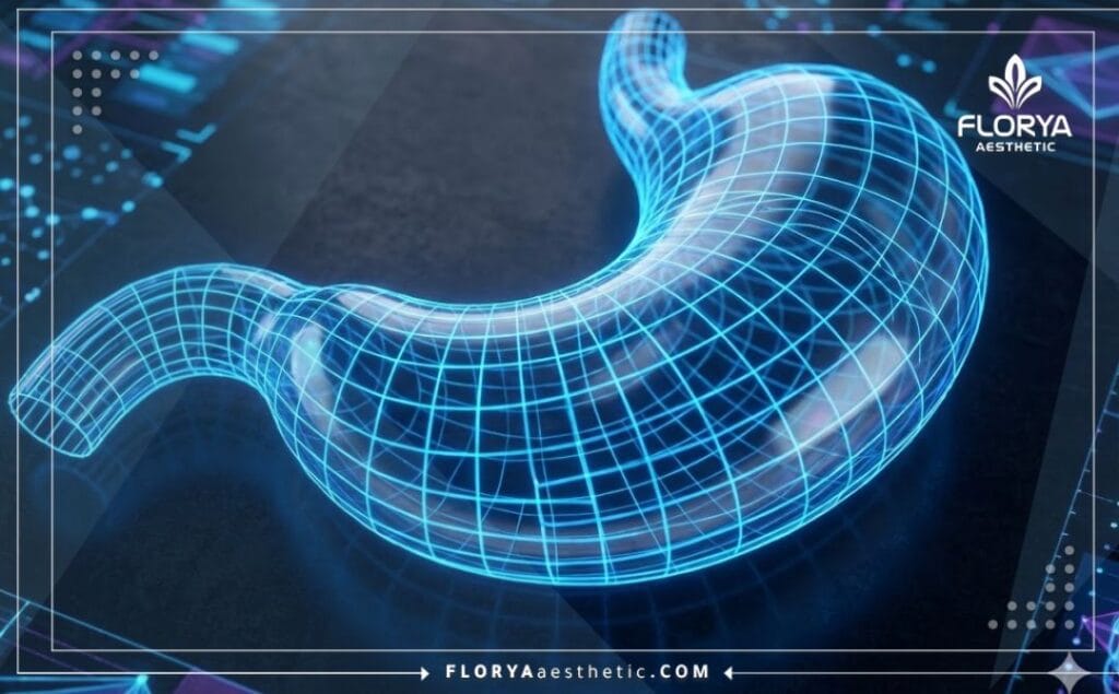 Escaneo de superficie 3D de alta tecnología enfocado en la anatomía del estómago