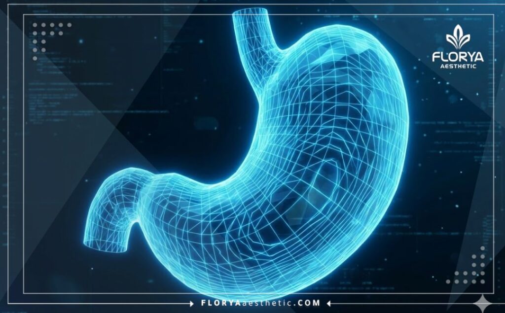 Футуристическое 3D сканирование анатомии желудка с высокой медицинской точностью