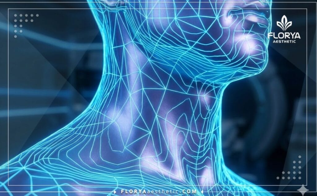 Digital 3D mesh scan focusing on the neck anatomy for surgical precision.