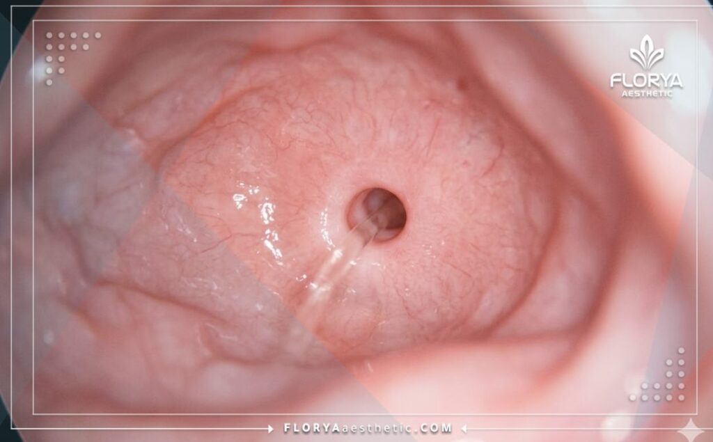 Детальная визуализация идеального и здорового результата диагностики