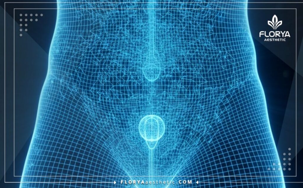 High-tech 3D macro surface scan of the anatomical area showing medical precision.