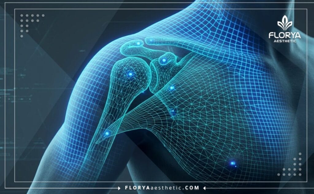 Escaneo macro 3D de alta tecnología de la anatomía del hombro