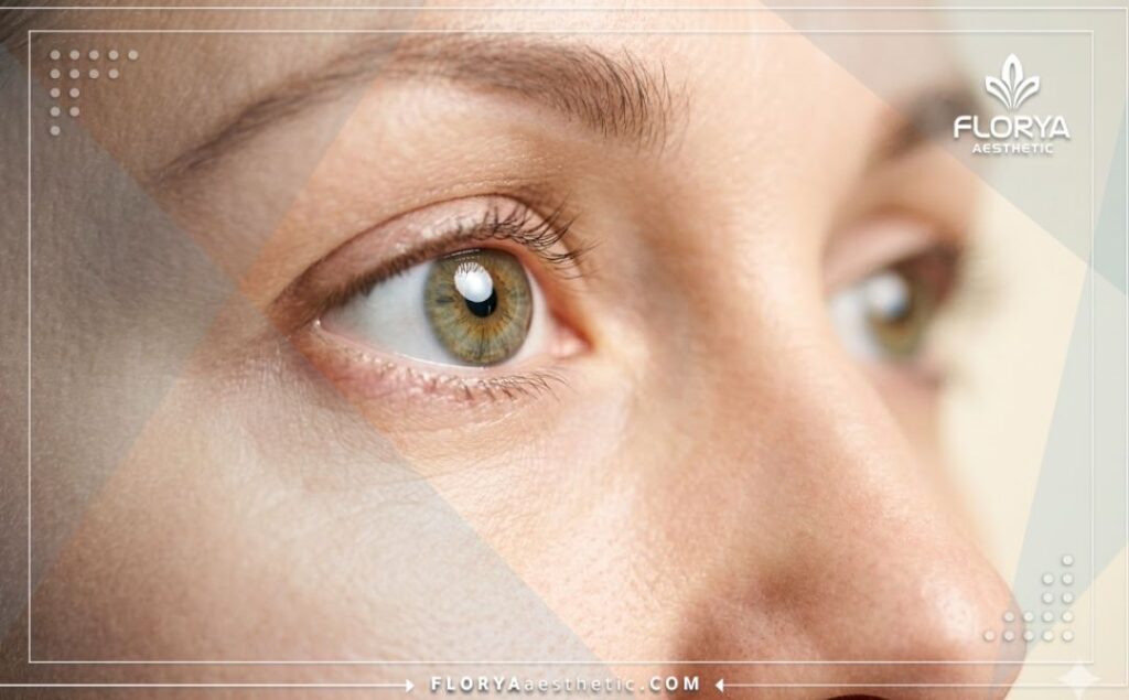 Clear bright eye showing perfect results and healthy vision