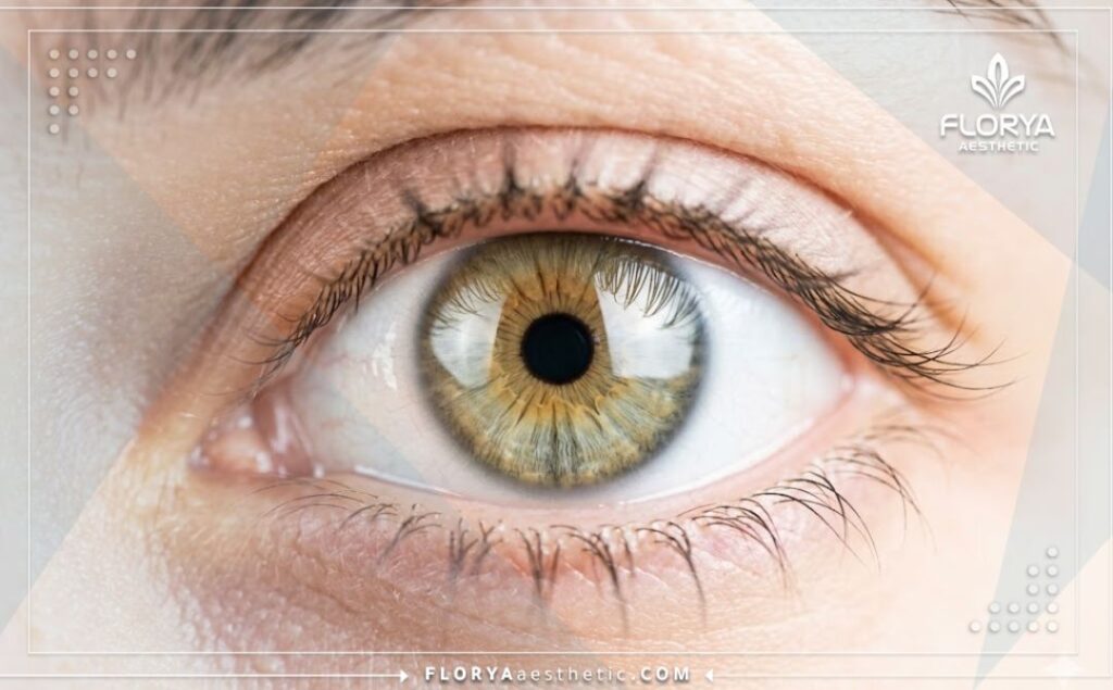 Macro shot of a clear and healthy eye showing the perfect result of the successful eye procedure.