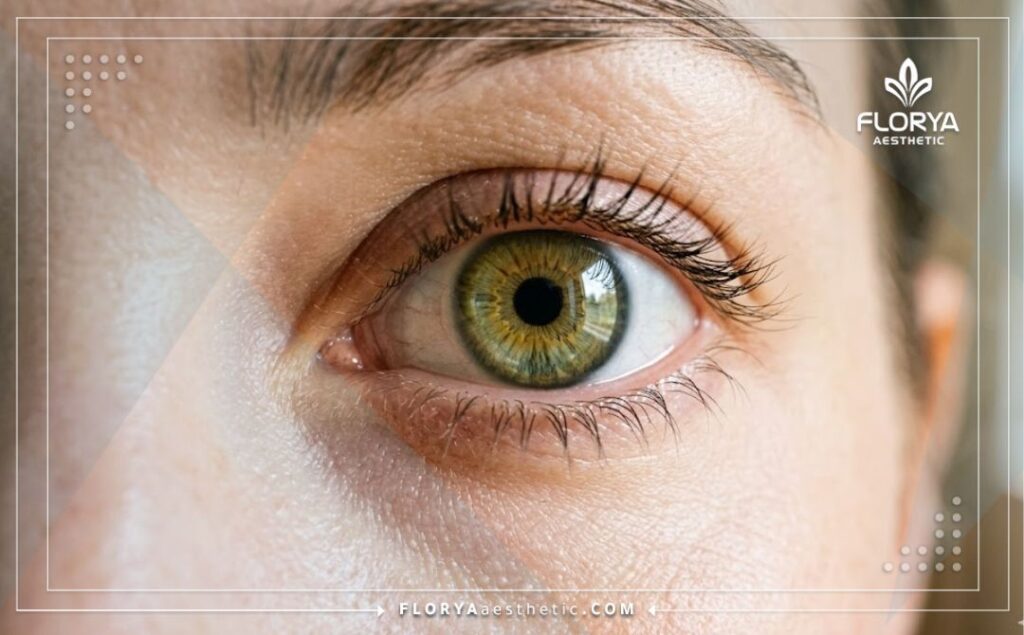 Gros plan d'un œil sain avec une vision claire après la greffe