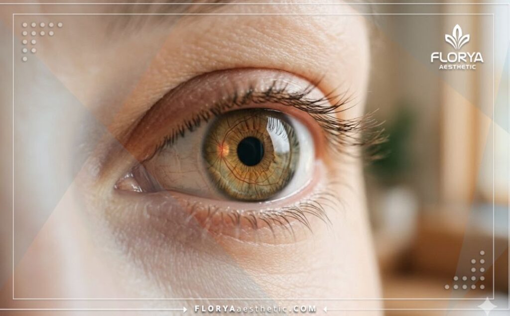 Здоровый глаз, демонстрирующий идеальный результат успешного лечения