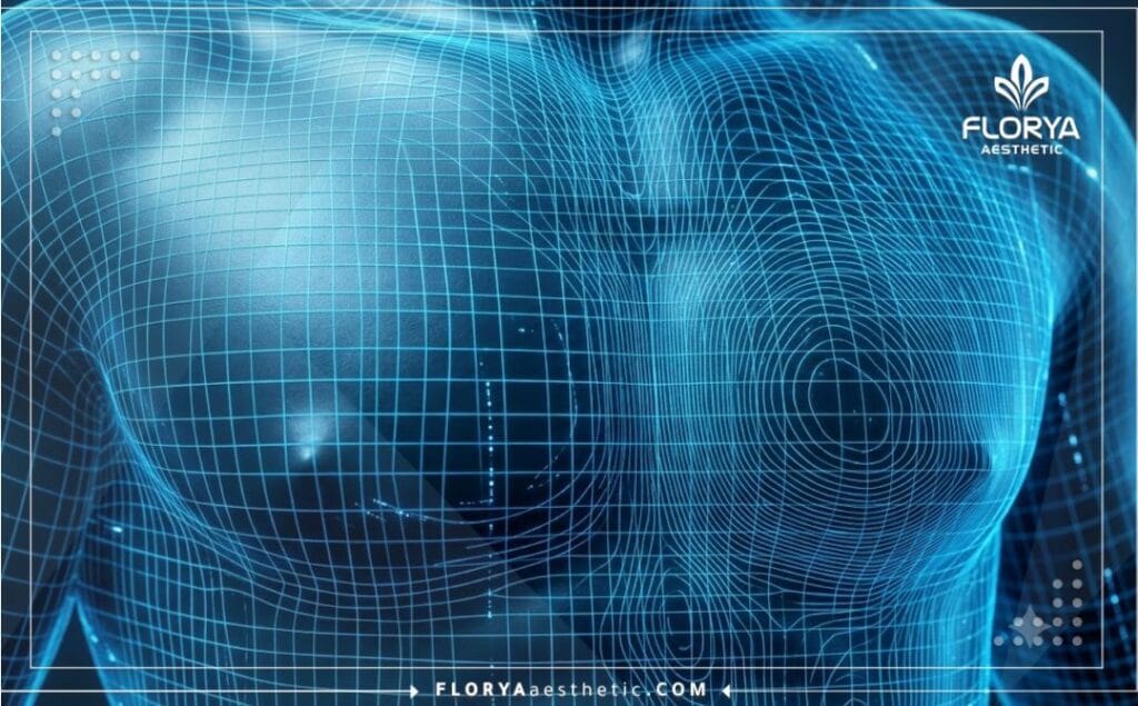 مسح رقمي ثلاثي الأبعاد يوضح دقة نحت منطقة الصدر
