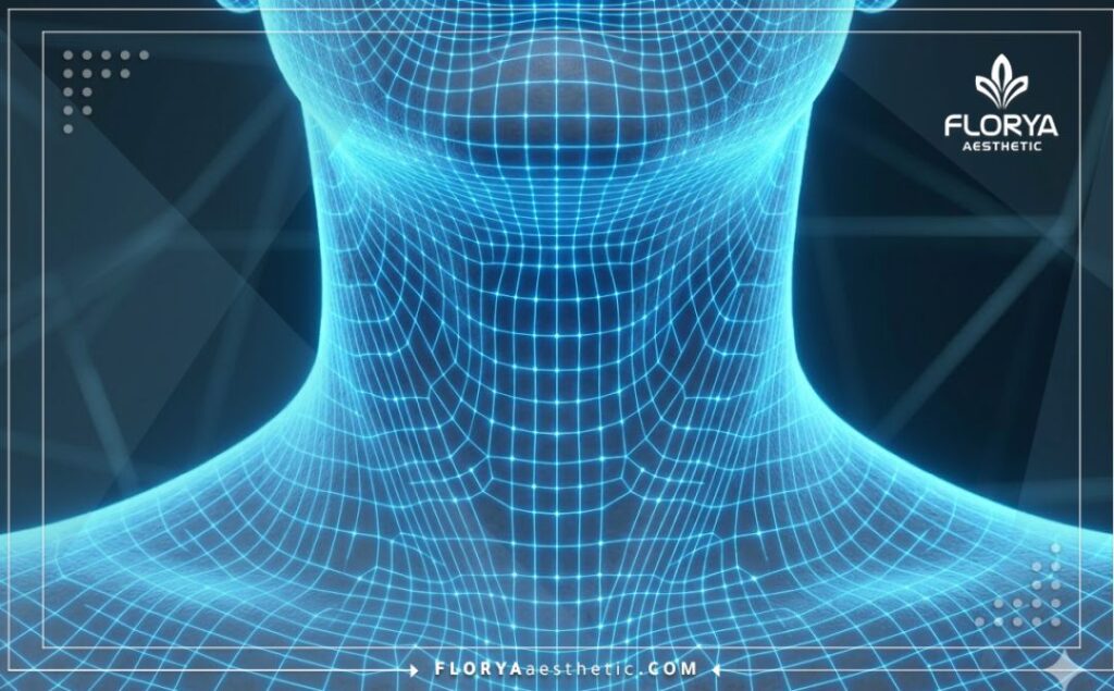 مسح رقمي ثلاثي الأبعاد يركز على منطقة الرقبة والفك بدقة عالية