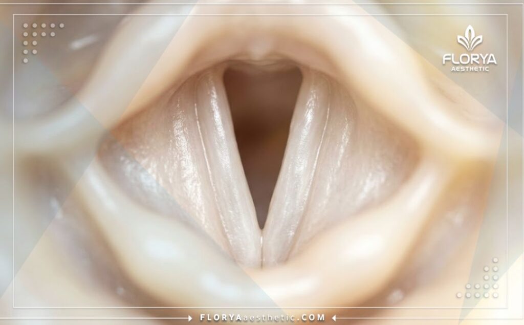 Flawless and healthy vocal tract visualization representing the perfect procedure result.