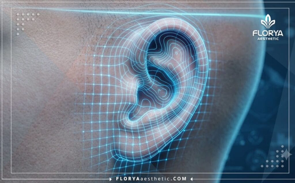 مسح ضوئي ثلاثي الأبعاد يوضح تفاصيل تشريح الأذن بدقة عالية لعمليات التجميل.