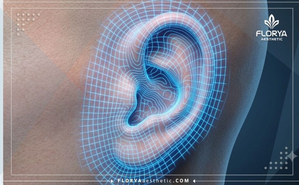 Modélisation 3D de l'oreille montrant la précision de la technologie laser médicale.