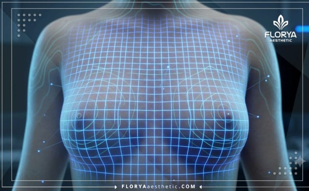 Visualización 3D avanzada en malla digital para la precisión de la zona anatómica.
