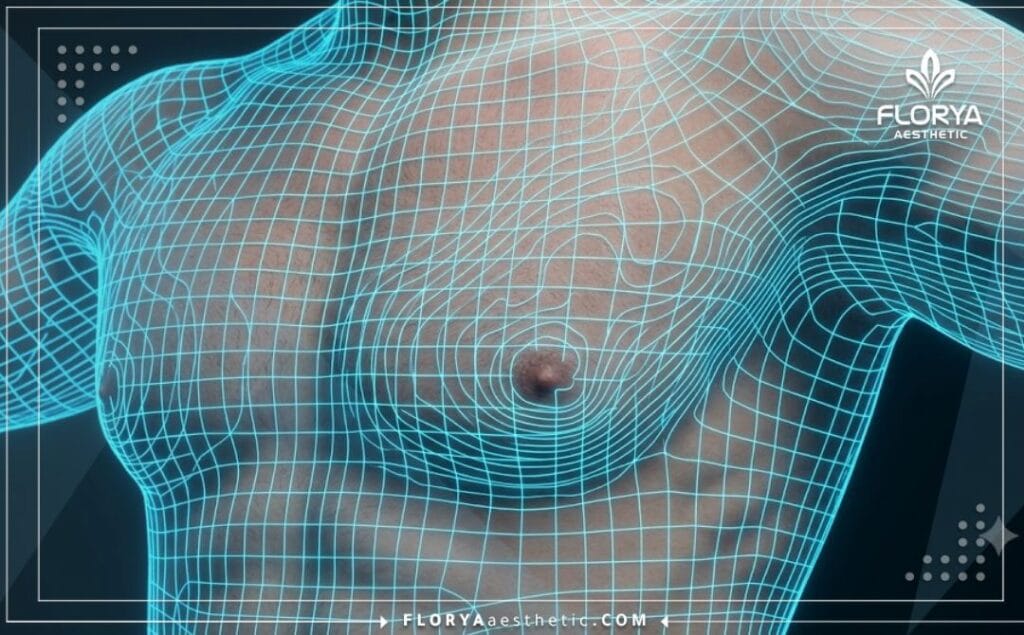 Modélisation 3D détaillée de la zone pectorale masculine avant chirurgie