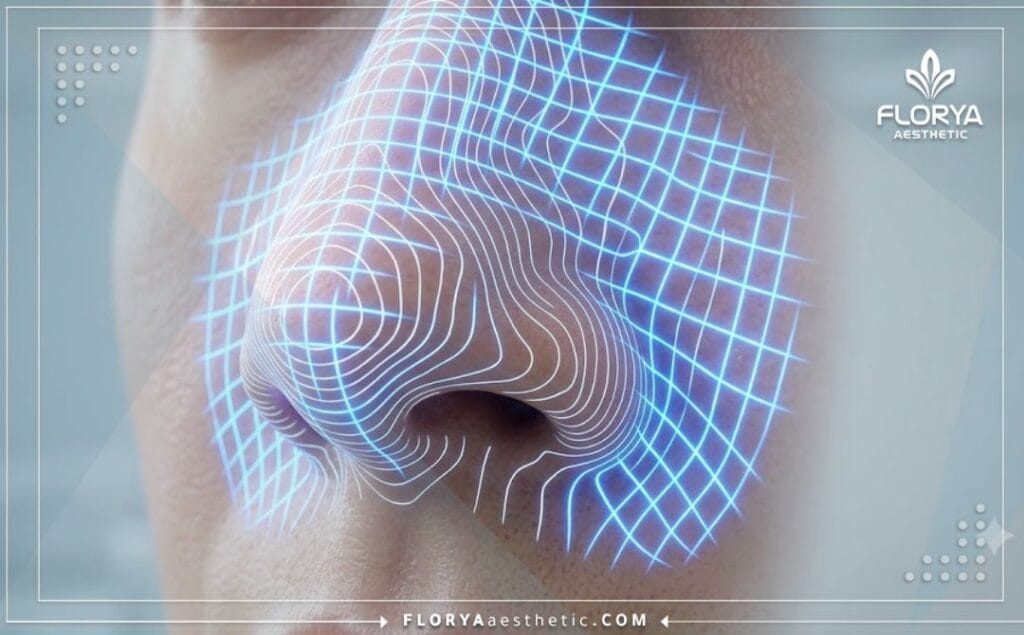 مسح رقمي ثلاثي الأبعاد لمنطقة الأنف يوضح التفاصيل الدقيقة للحاجز الأنفي بدون نصوص.