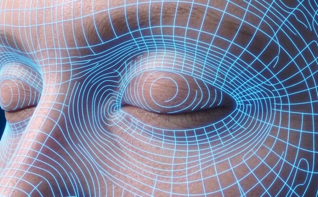 High-tech 3D digital mesh visualization of the eyelid anatomy