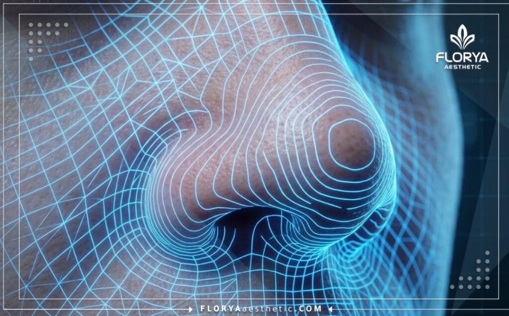 High-tech 3D topographical scan detailing the bulbous nose anatomical structure