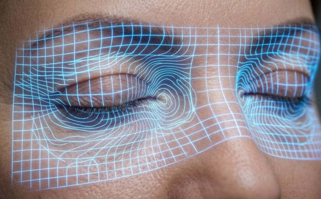 Modélisation 3D médicale détaillée se concentrant sur la zone sous les yeux et les paupières inférieures.