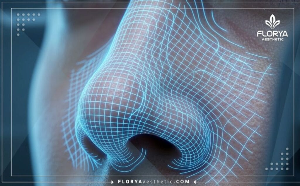 High-tech 3D topographical mesh scan detailing human nasal anatomical structures